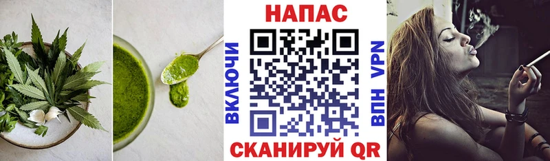 мориарти как зайти  Бийск  Еда ТГК марихуана  что такое наркотик 