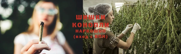 стаф Артём