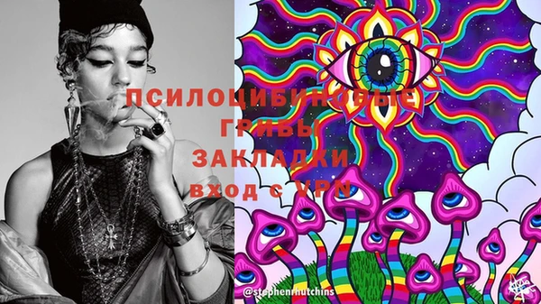 шишки Бердск
