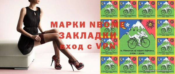 шишки Бердск
