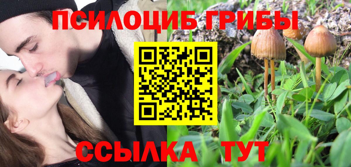 где найти наркотики  Галлюциногенные грибы MAGIC MUSHROOMS  Вход с VPN  Бийск 