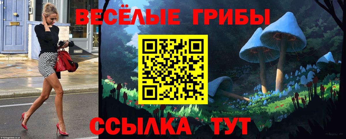 Псилоцибиновые грибы Cubensis Бийск