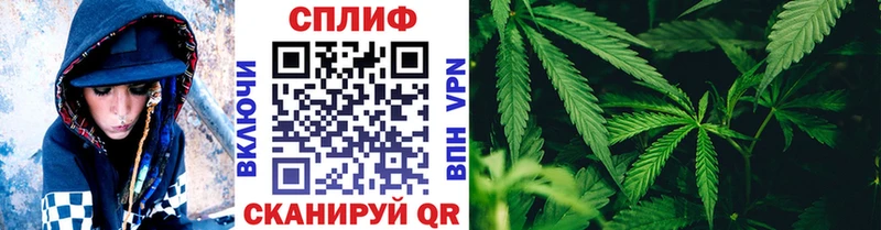 Шишки марихуана Amnesia  Бийск 